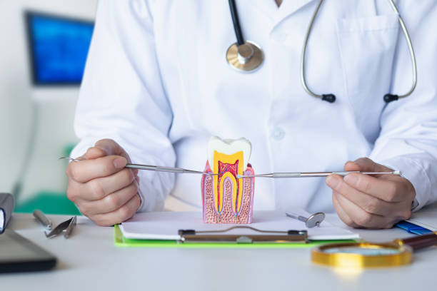 Best Emergency Broken Tooth Repair in Christmas, FL